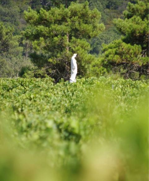 Domaine Sainte Marie
